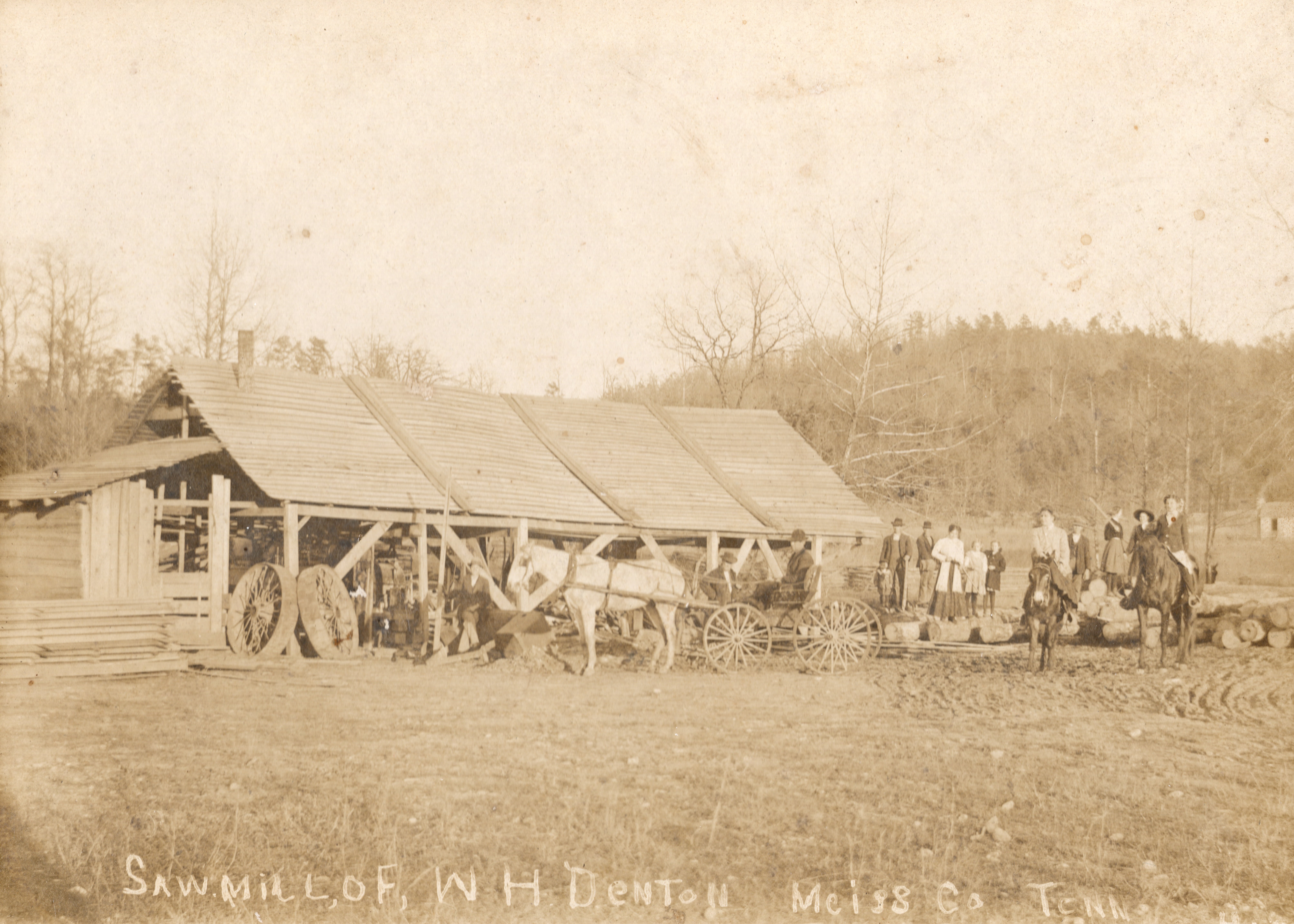 Saw Mill of W.H. Denton, early 1900s, Meiss Co. Tennessee